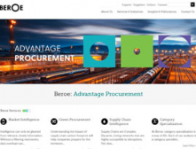 portfolio-beroe portfolio-beroe