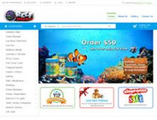 portfolio-reef portfolio-reef