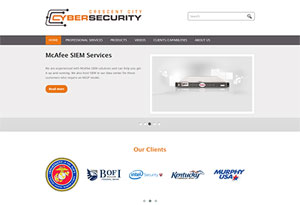 successful projects cyber